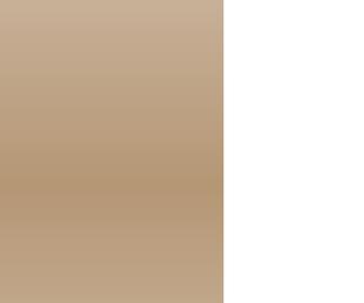 Budgetcoachpro