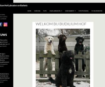 Labrador Kennel Budiliumhof