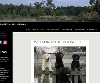 Labrador Kennel Budiliumhof