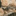 Favicon van bylobke.nl