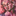 Favicon van bymariel.nl