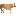Favicon van capifood.nl