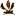 Favicon van carniflora.nl