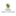 Favicon van carolinejonkman.nl