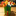 Favicon van carolinematser.com