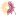 Favicon van casamia.nl