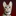 Favicon van cat-Vision.com