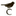 Favicon van catullus.nl
