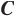 Favicon van caumon.nl