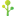Favicon van causus.nl