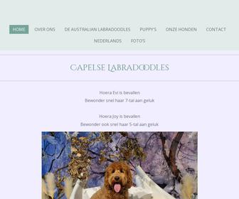 Capelse Labradoodles