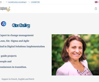http://www.castex-consulting.nl