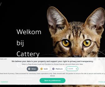 Cattery CatVision