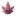 Favicon van cbdvi.be