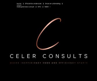 Celer Consults