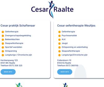 http://www.cesar-raalte.nl