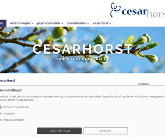http://www.cesarhorst.nl