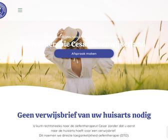http://www.cesarsteenwijk.nl