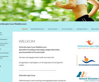 http://www.cesartherapie-waddinxveen.nl