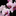 Favicon van chinahealthcenter.nl