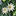 Favicon van christiearends.nl