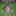 Favicon van claudjessnoeptaartenwinkel.nl