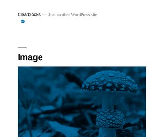https://www.clearblocks.nl