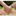 Favicon van coaching.zorgduet.nl