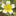 Favicon van cottagegardenneer.wordpress.com