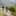 Favicon van cocogne.nl