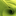 Favicon van colorart.nl