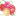 Favicon van colourfulartlimburg.nl