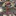 Favicon van cosmolife.nl
