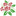 Favicon van couwenbergbloemen.nl