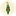 Favicon van curcumagouda.nl
