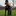 Favicon van daphnetakescare.nl