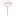 Favicon van dailyflowers.nl