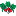 Favicon van dailyfreshradish.nl