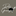 Favicon van dailygrooming.nl