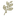 Favicon van damice.nl