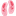 Favicon van dans-nu.nl