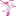 Favicon van dansschooldevotion.nl