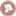 Favicon van daysofbloom.nl