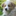 Favicon van debosbes.com