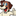 Favicon van dehondenkraam.nl
