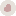 Favicon van devvvdesign.nl