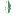 Favicon van dewitteveer.nl