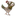 Favicon van de-waldhoorn.nl