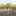 Favicon van debietenhaven.nl