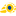 Favicon van debloeiendebetuwe.nl